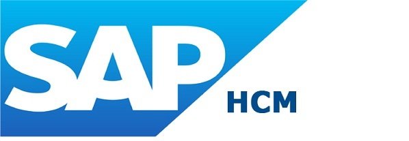 Top 100 SAP HCM Interview Questions & Answers - Technosap